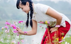 青青草国产线观观看